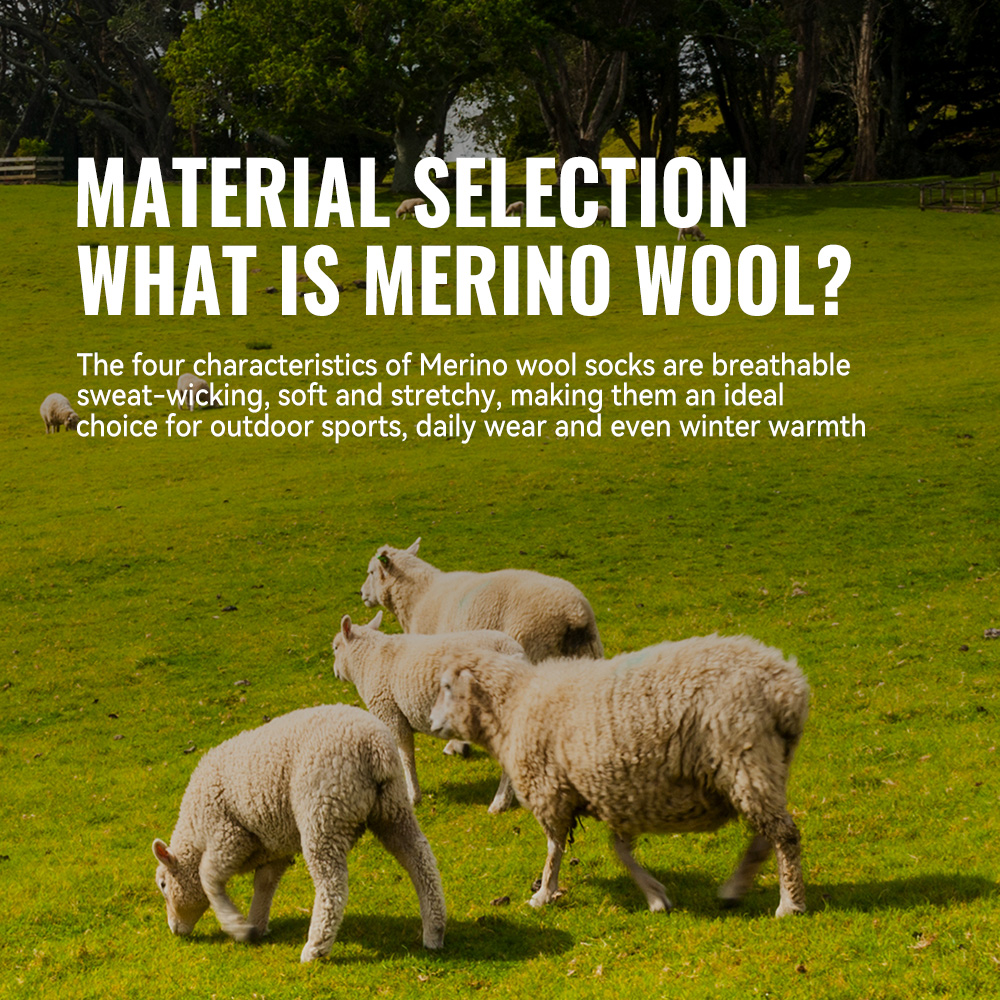 WRELS 1/2/3 Merino Wool Socks  - Thermal Sock Wool recension och pris